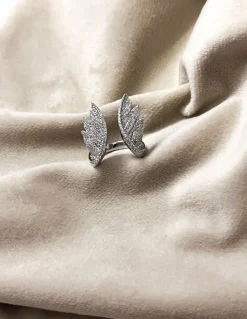Anello Ali