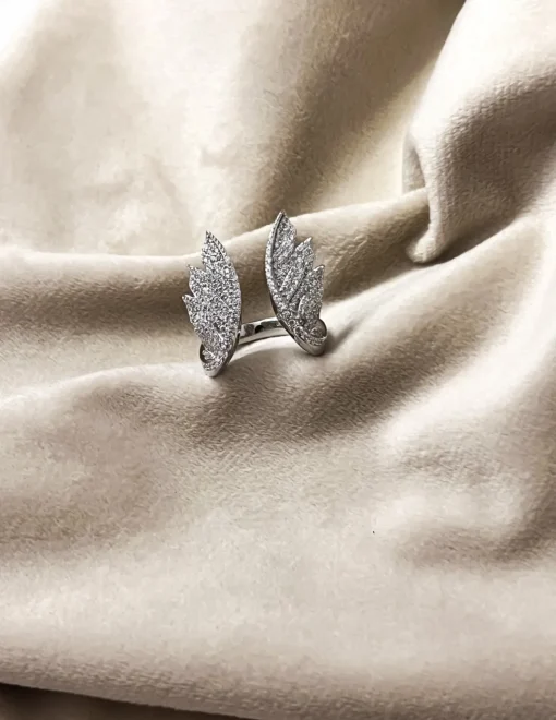 Anello Ali
