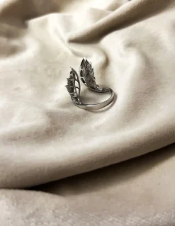 Anello Ali