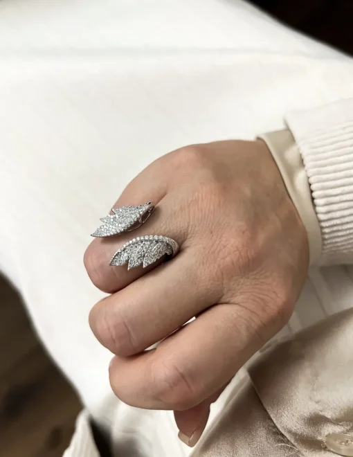 Anello Ali