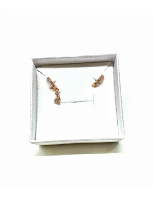 Orecchini Asimmetrici Serpentello COLORE ARGENTO Dorato
